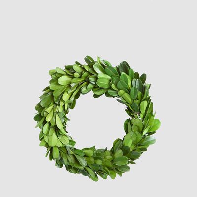 Preserved Boxwood Mini Wreath