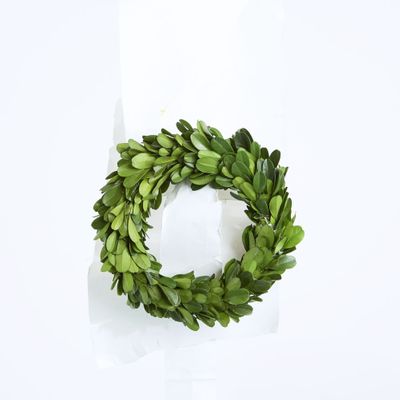 Preserved Boxwood Mini Wreath