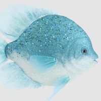 Bluey Fish Decoration