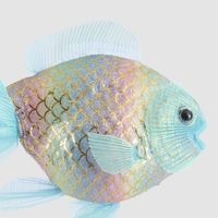 Limora Fish Decoration