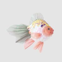 Greena Fish Decoration