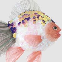 Greena Fish Decoration