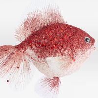 Little Red Goldfish Decoration