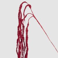 So Red! Amaranthus Spray