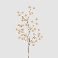 Sugar Gold Berry Stem