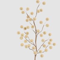 Sugar Gold Berry Stem