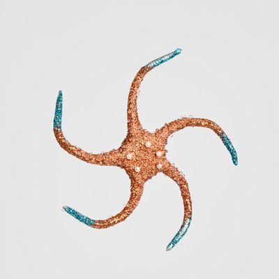 Beaded Star Fish Hanging Tree Decoration