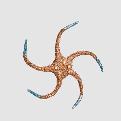 Beaded Star Fish Hanging Tree Decoration