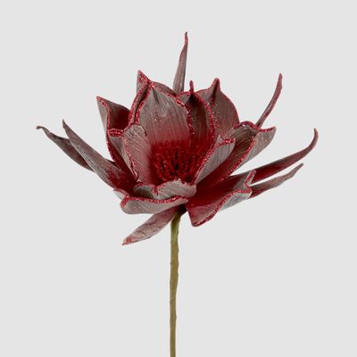 Spike Petal Flower Stem Red