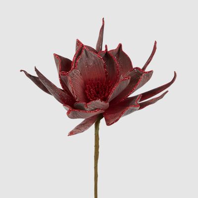 Spike Petal Flower Stem Red