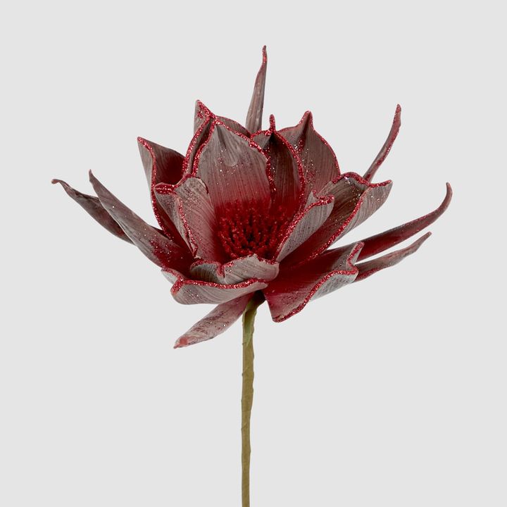 Spike Petal Flower Stem Red