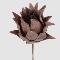 Glitter Protea Stem Brown
