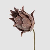 Glitter Protea Stem Brown