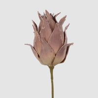 Glitter Protea Stem Brown