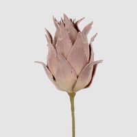 Glitter Protea Stem Brown