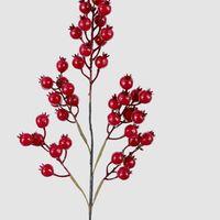 Glossy Red Berry Spray