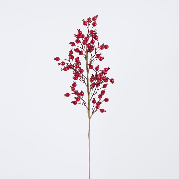 Gloss Berry Stem Red