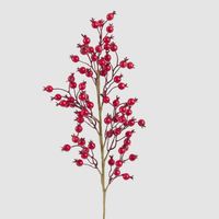 Gloss Berry Stem Red