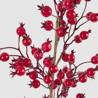 Gloss Berry Stem Red