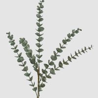 Glitter Eucalyptus Spray Green