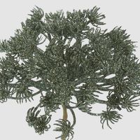 Glitter Agapanthus Stem Green