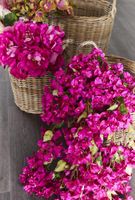Bougainvillea Garland 1.2m Fuschia