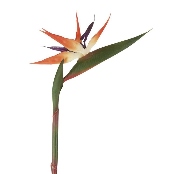 Bird of Paradise Stem 95cm