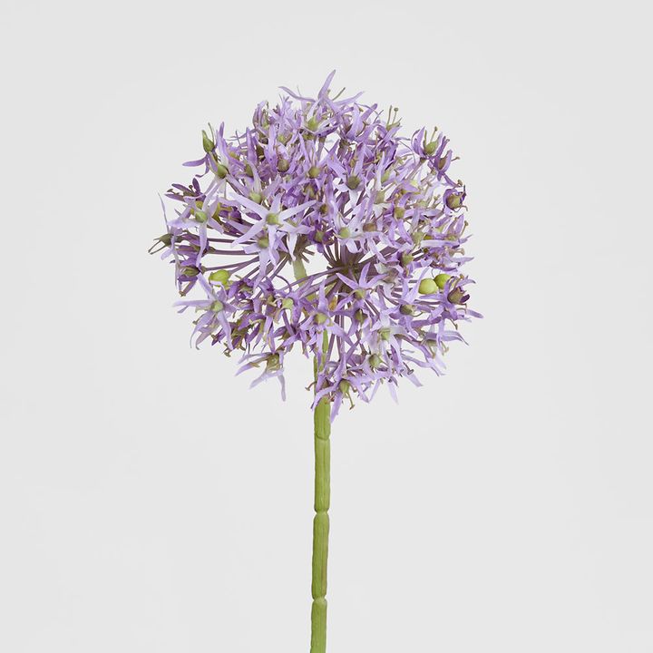 Allium Flower Stem 74cm Lavender