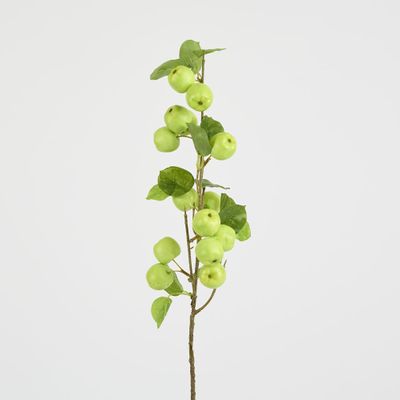 Wild Crab Apple Stem Green