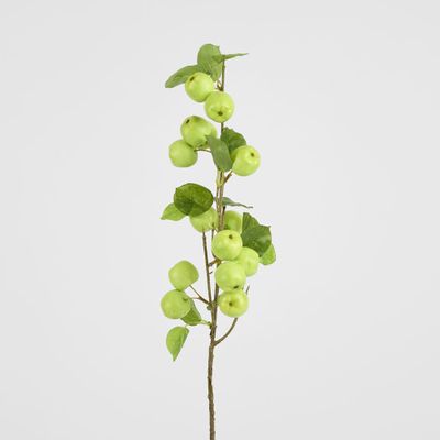 Wild Crab Apple Stem Green