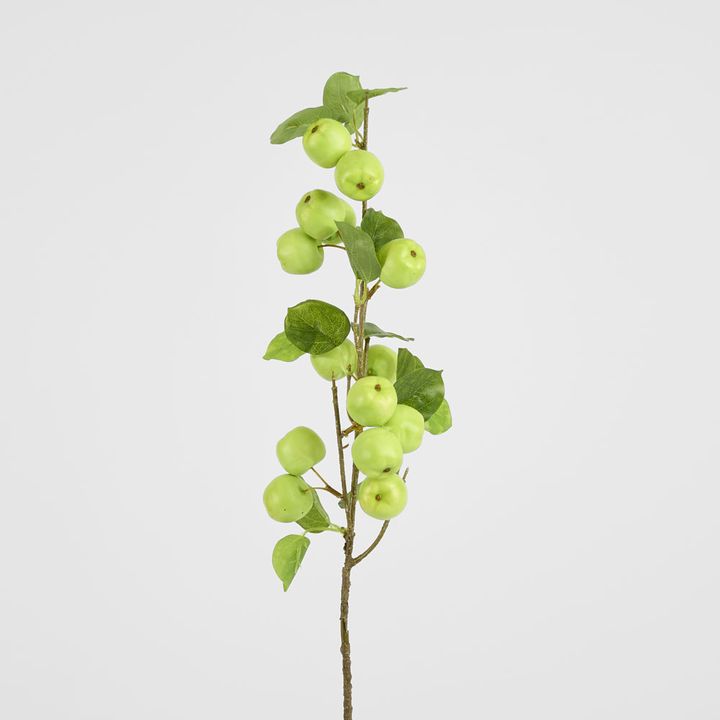 Wild Crab Apple Stem Green