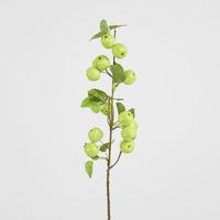 Wild Crab Apple Stem Green