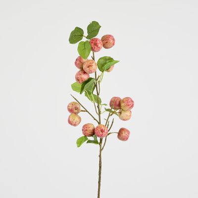 Wild Crab Apple Stem Red