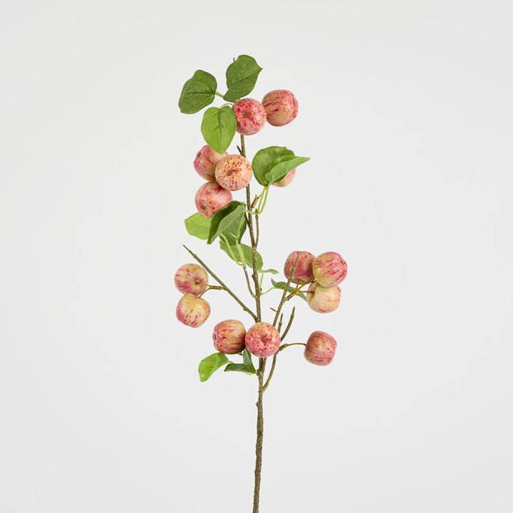 Wild Crab Apple Stem Red