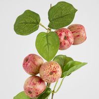 Wild Crab Apple Stem Red