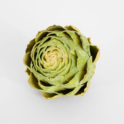 Cut Artichoke Green