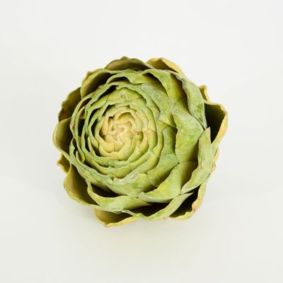 Cut Artichoke Green