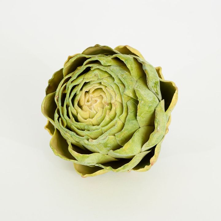 Cut Artichoke Green