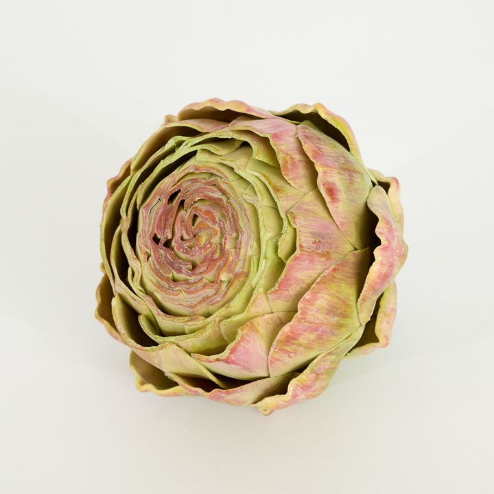 Cut Artichoke Purple