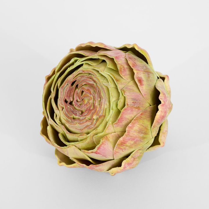 Cut Artichoke Purple