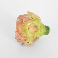 Cut Artichoke Purple