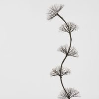 Fleur Lumi&egrave;re Multi Dandelion Light Up 150cm with with 1200 LED Warm White Lights