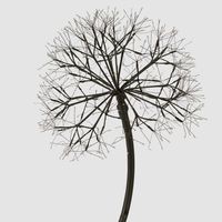 Lumi Light Up Dandelion 150cm with 576 LED Warm White Lights