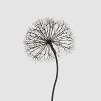 Lumi Light Up Dandelion 210cm with 1200 LED Warm White Lights