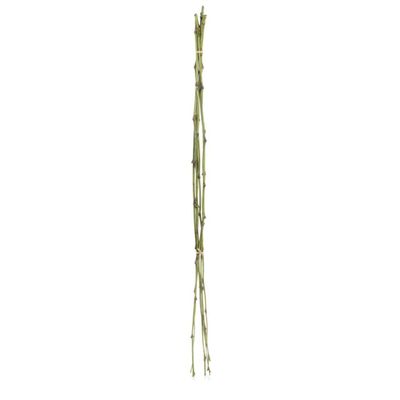 Bamboo Twig Bundle 1m