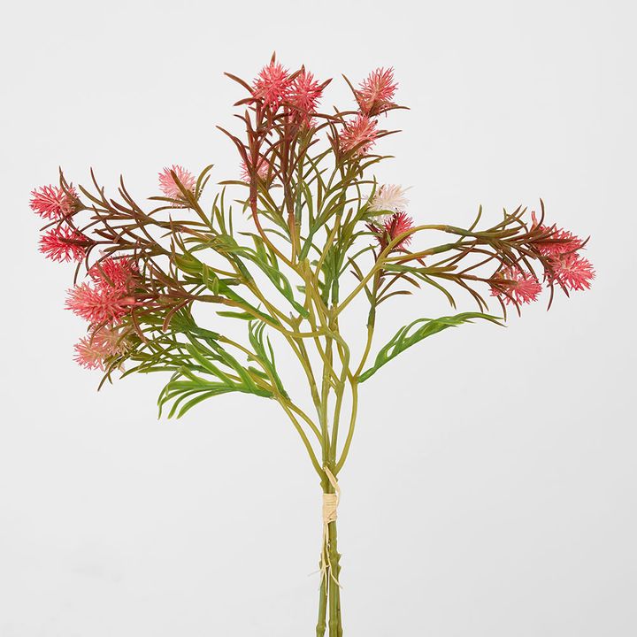 Wild Berry Bundle Dark Pink