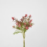 Wild Berry Bundle Dark Pink