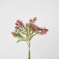 Wild Berry Bundle Dark Pink