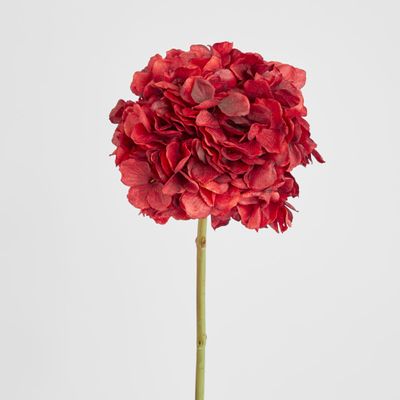 Round Head Hydrangea Burgundy