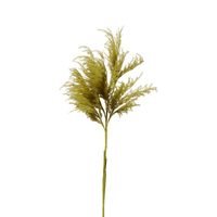Oversized Pampas Spray Stem Moss Green